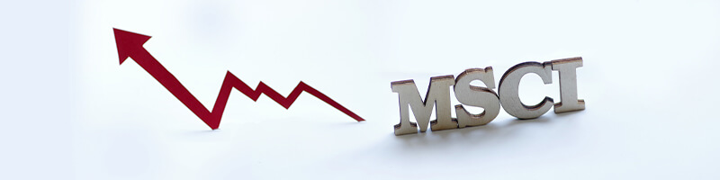 MSCI Brazil Index ETF (EWZ)